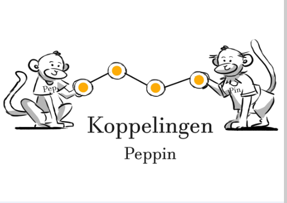 API_koppeling_peppin.png
