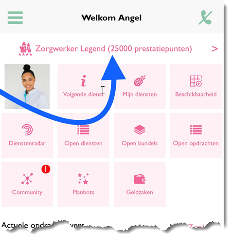 Zorgwerk_app_prestaties_legend.png